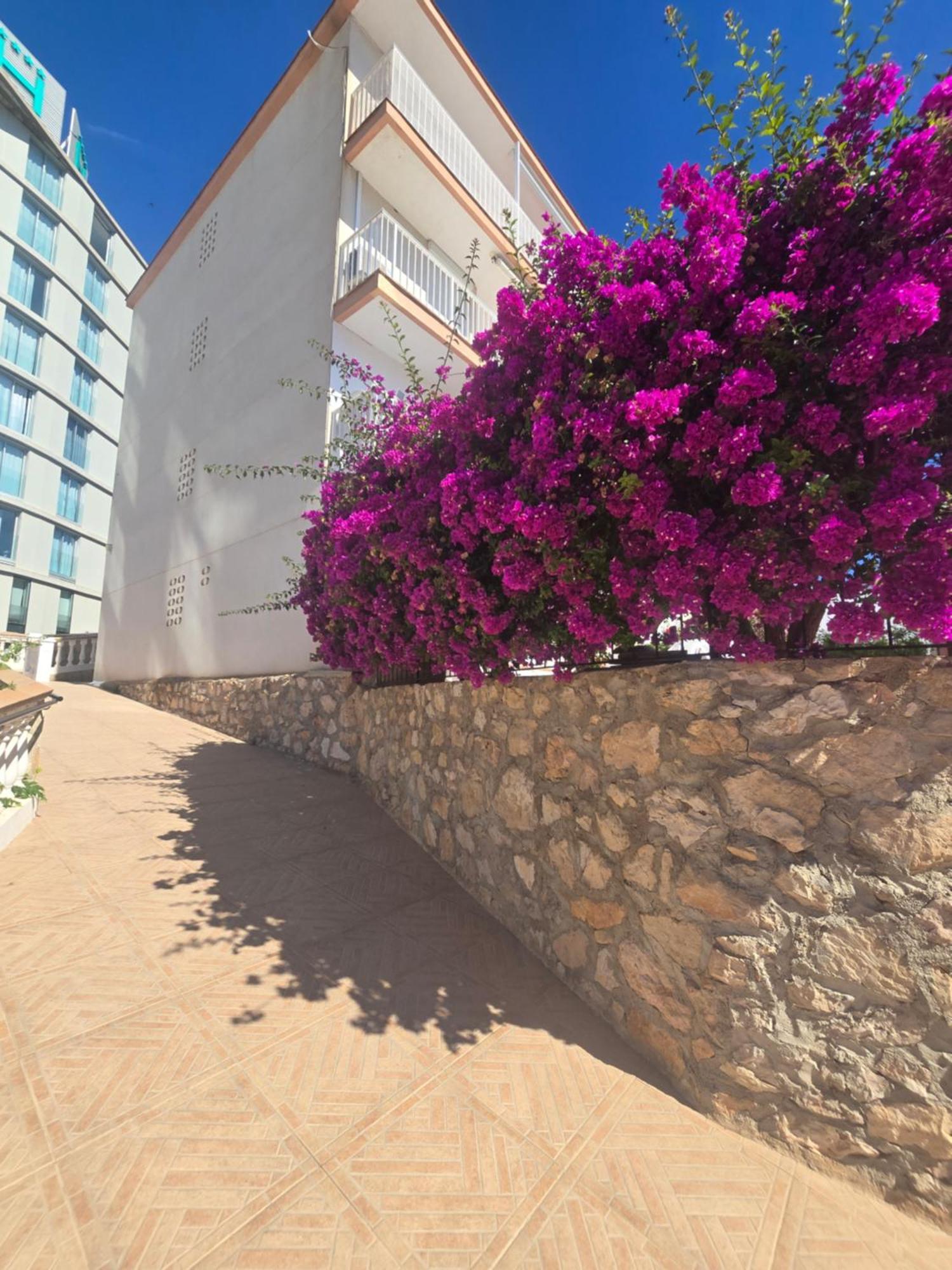 La Cantera Appartement Playa Peñíscola Eksteriør billede
